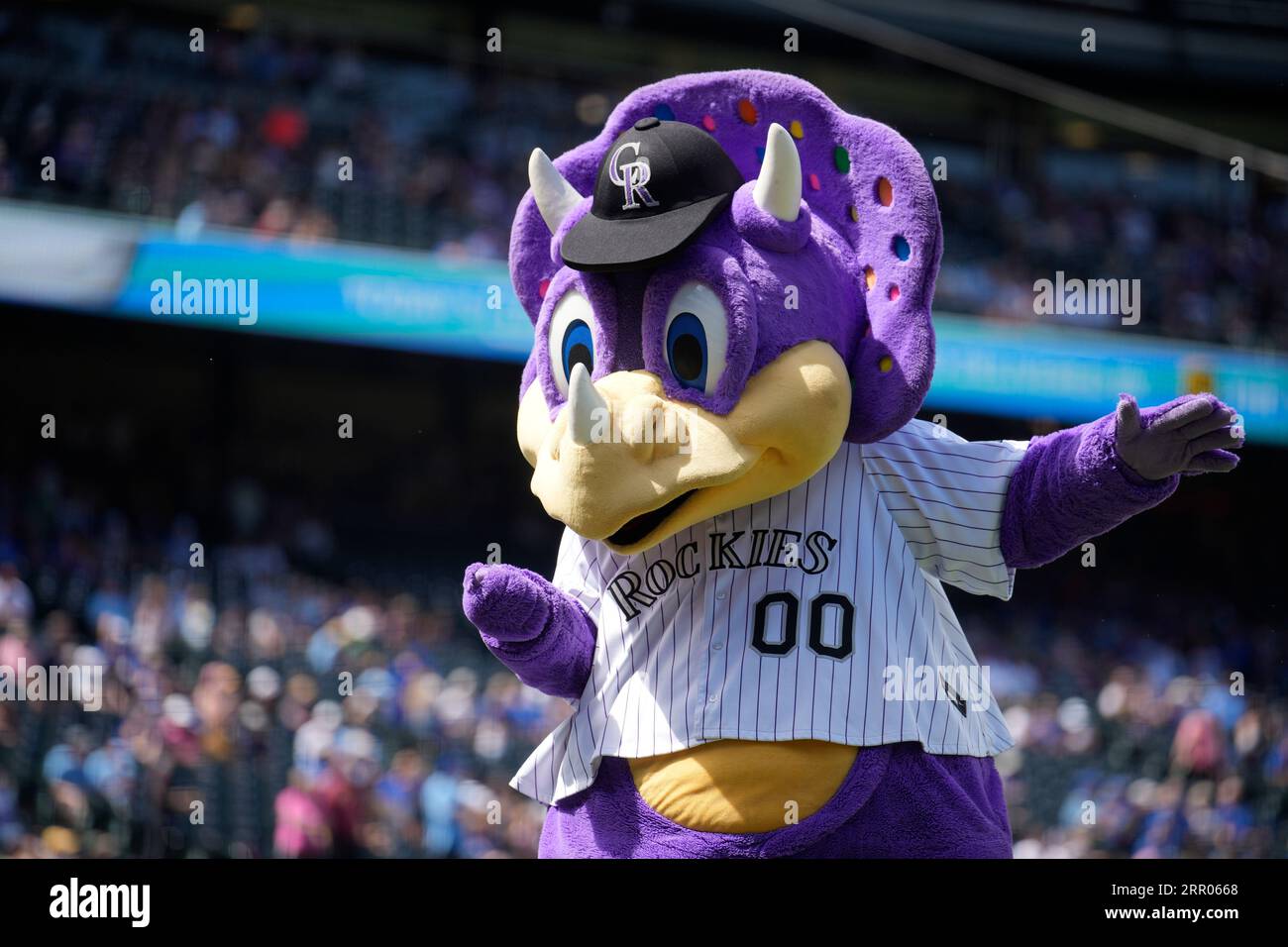 Colorado Rockies mascot Dinger the dinosaur in the first inning of a  baseball game Sunday, Sept. 3, 2023, in Denver. (AP Photo/David Zalubowski  Stock Photo - Alamy