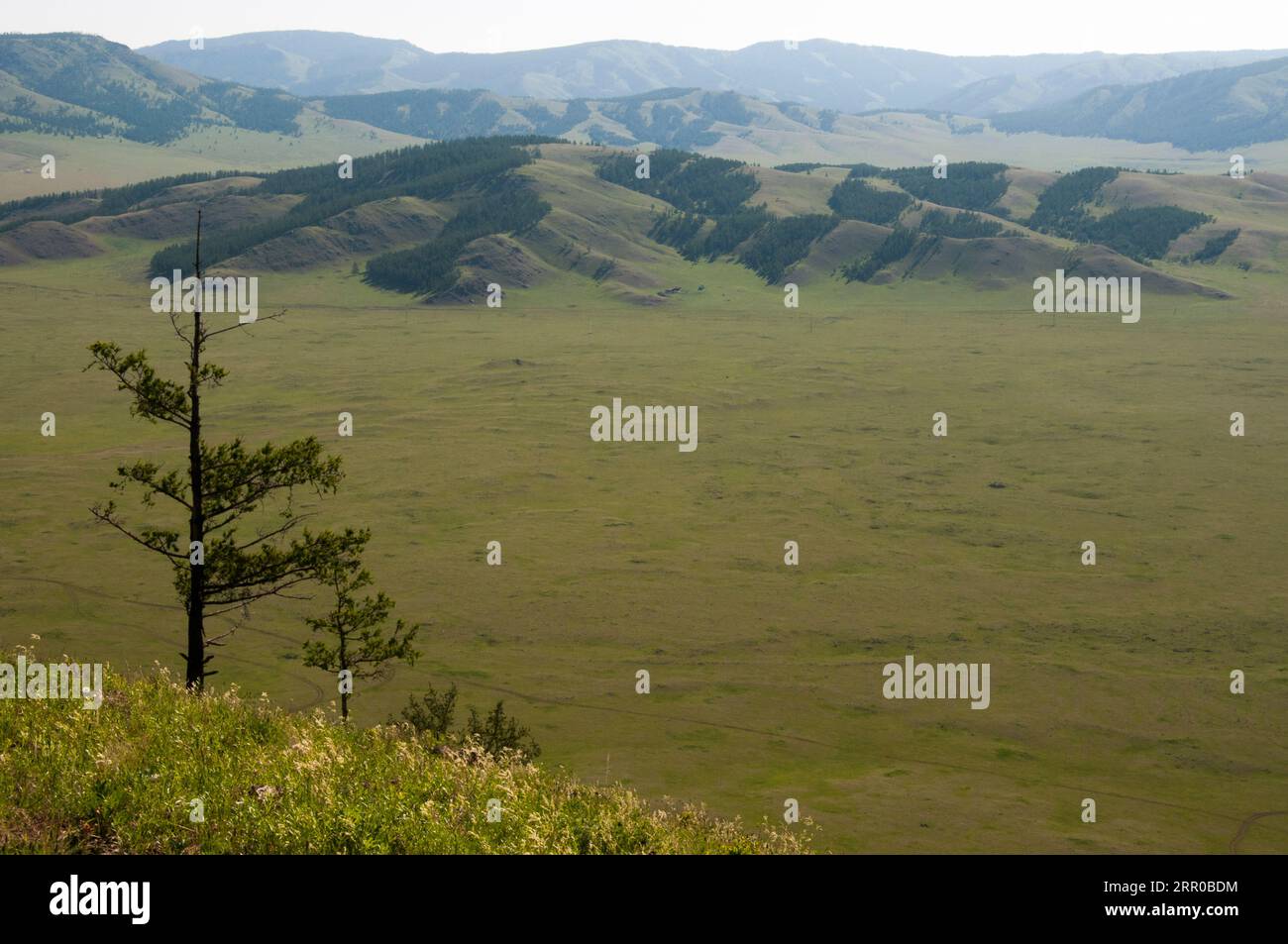 Steppes seen from the rim of Uran Uul extinctdd volcano, northern Mongolia Stock Photo