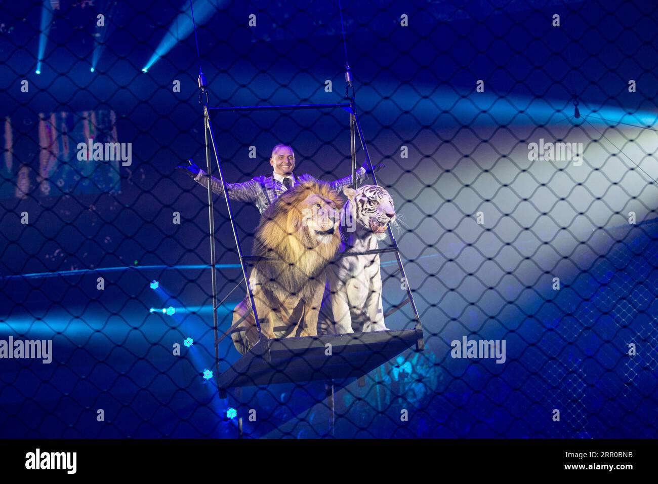 200808 -- MOSCOW, Aug. 8, 2020 Xinhua -- Animal trainer Askold Zapashny  performs with a tiger and a lion during a show at the Great Moscow circus  in Moscow, Russia, on Aug.