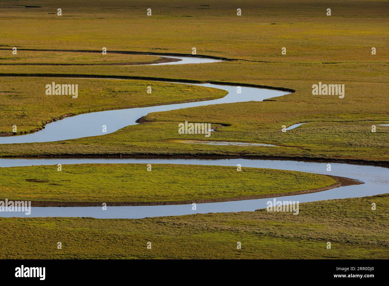 200810 -- SERTAR, Aug. 10, 2020 -- Photo taken on Aug. 9, 2020 shows the view of Nilaba wetland in Sertar County, southwest China s Sichuan Province.  CHINA-SICHUAN-SERTAR-WETLAND CN JiangxHongjing PUBLICATIONxNOTxINxCHN Stock Photo