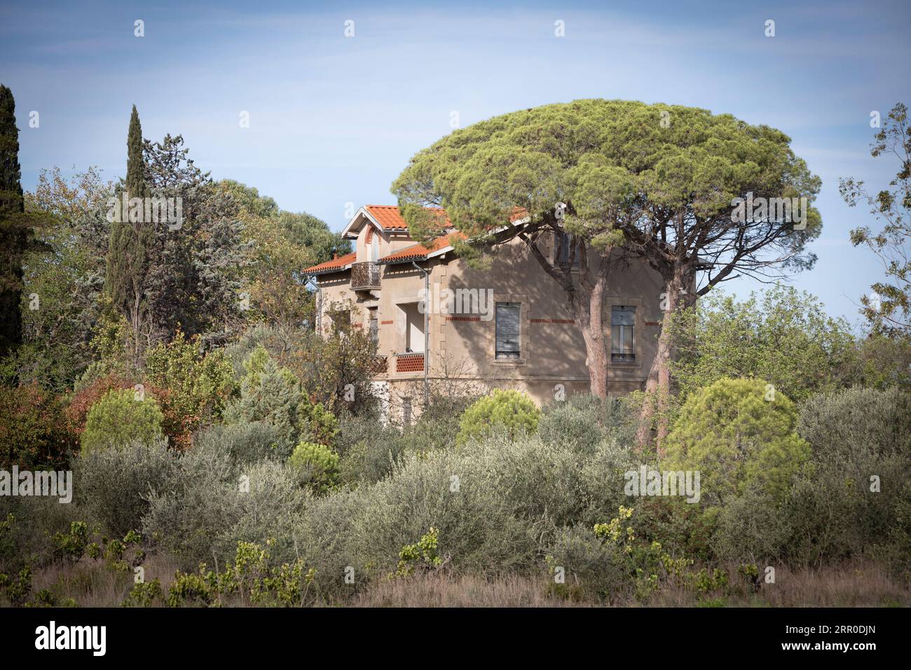 A deserted, empty, abandoned house in woodland in the South of France Stock Photo