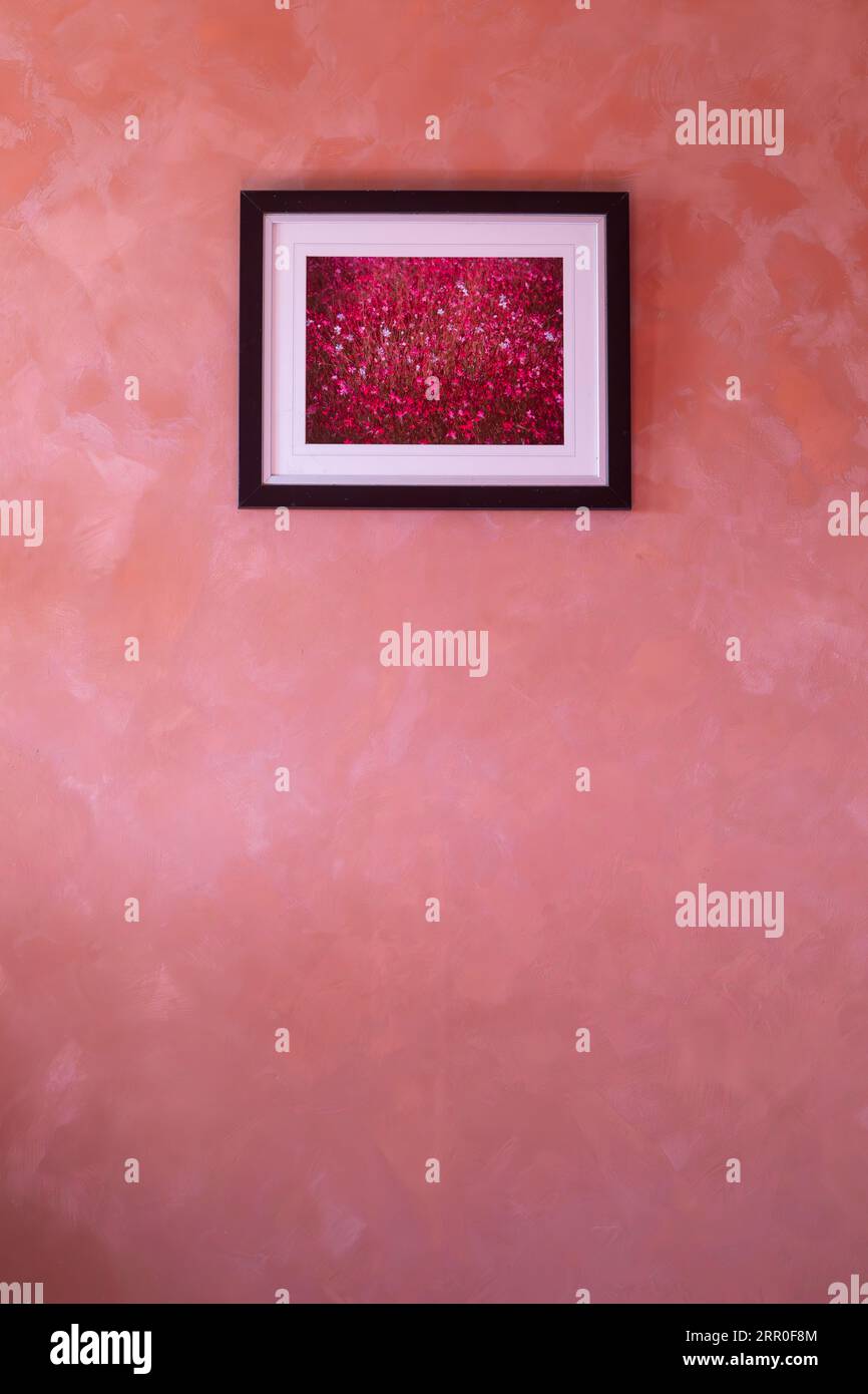 A framed floral photograph on a rag rolled bedroom wall Stock Photo