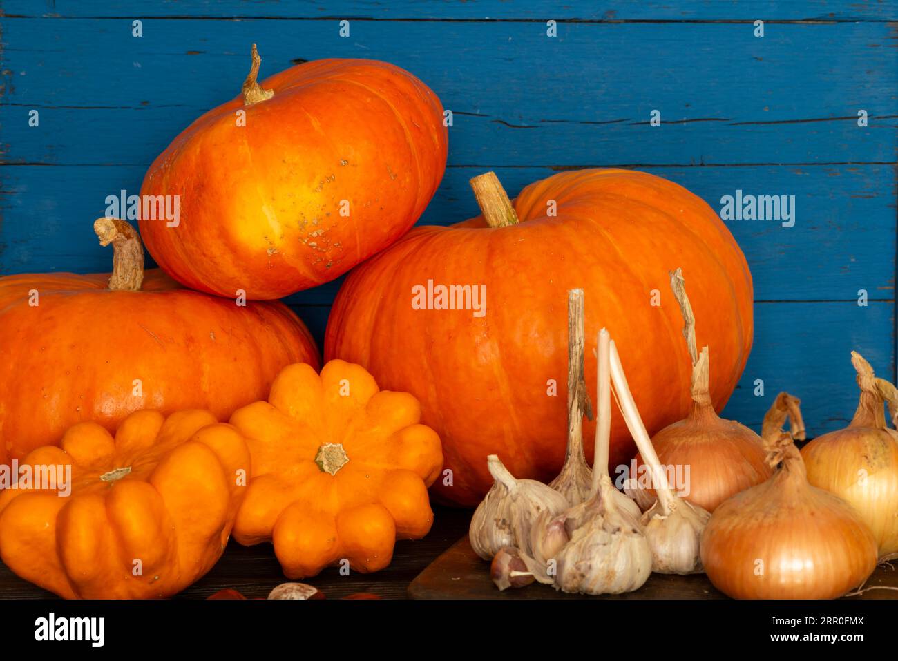 Pumpkin fruits are a type of botanical berry known as a pepo