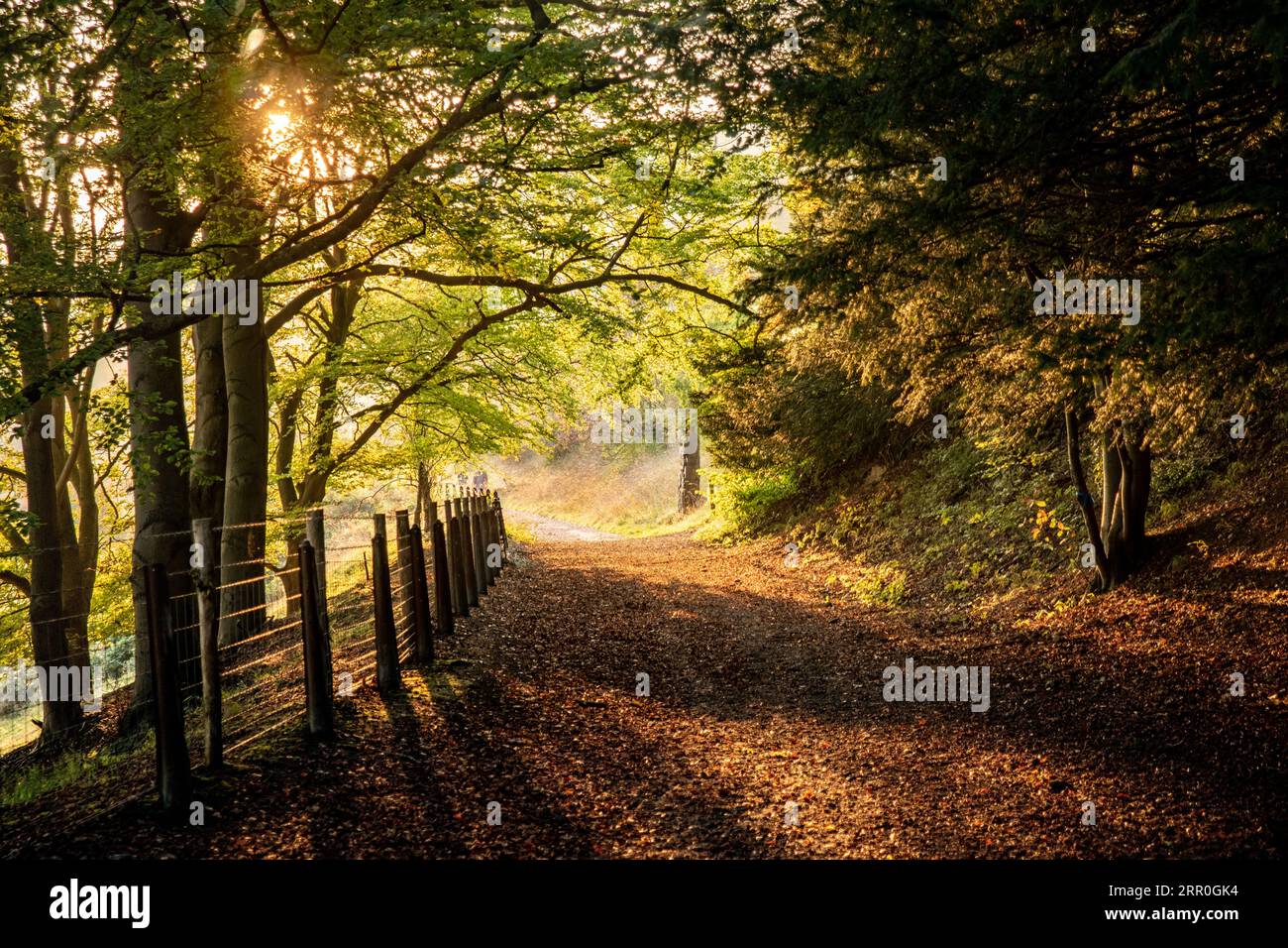 Sense of peaceful journey hi-res stock photography and images - Alamy