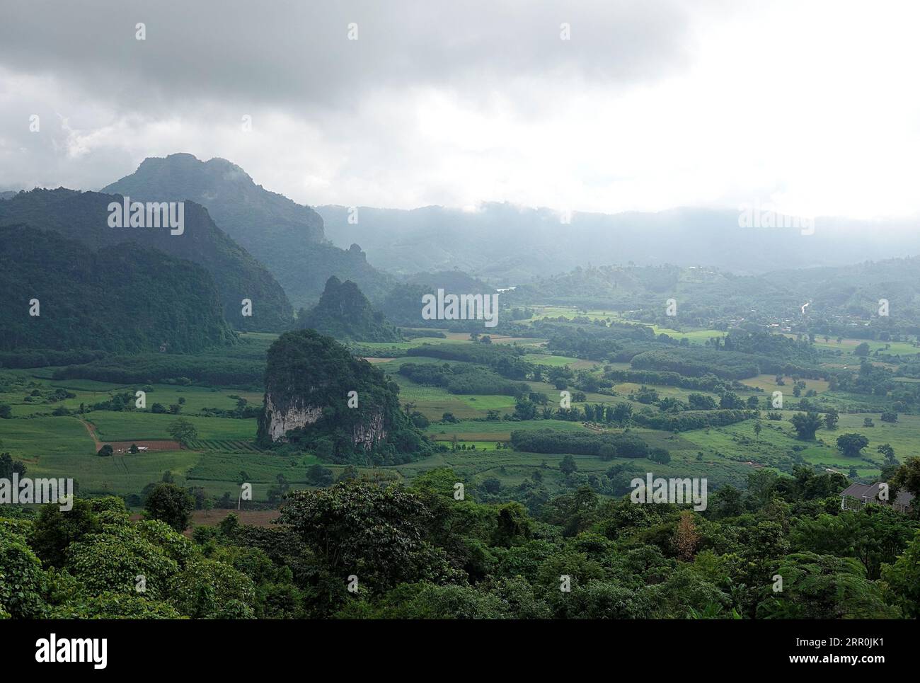 An aerial view of a stunning mountain range covered in lush green ...