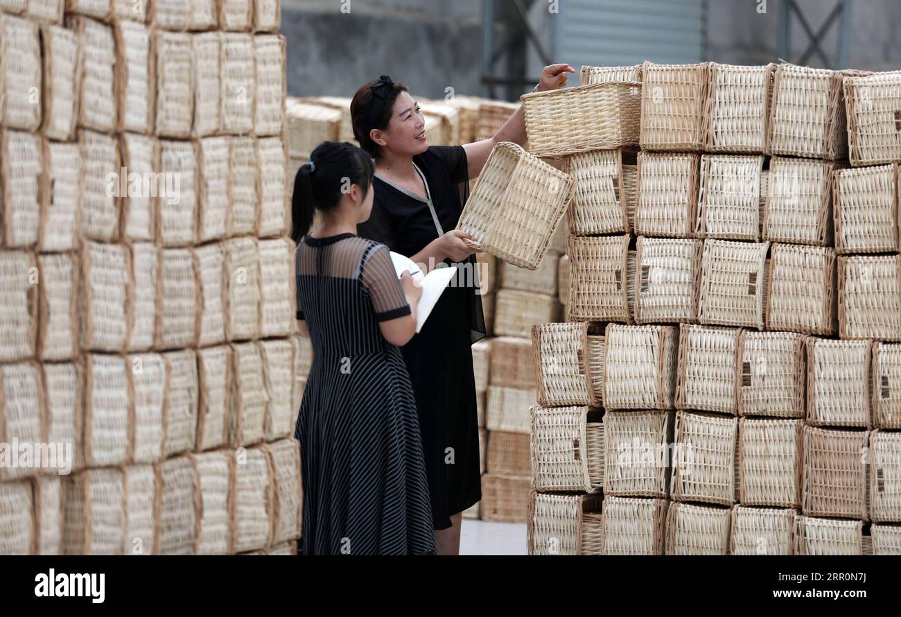 200821 -- TANCHENG, Aug. 21, 2020 -- Staff members of a willow knitting products making company check the products for export sales in Miaoshan Town of Tancheng County, east China s Shandong Province, Aug. 20, 2020. Tancheng County has a long tradition of making willow knitting products and encourages craftspeople to pass down old techniques as well as innovate some new ones. By virtue of e-business platform, the willow knitting products are welcomed by domestic and foreign market. Photo by /Xinhua CHINA-SHANDONG-TANCHENG-WILLOW KNITTING PRODUCTS-E-BUSINESS PLATFORM PROMOTION CN ZhangxChunlei Stock Photo