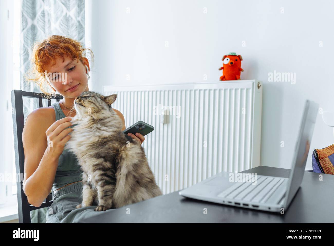 Spending time with your cat stock photo alamy