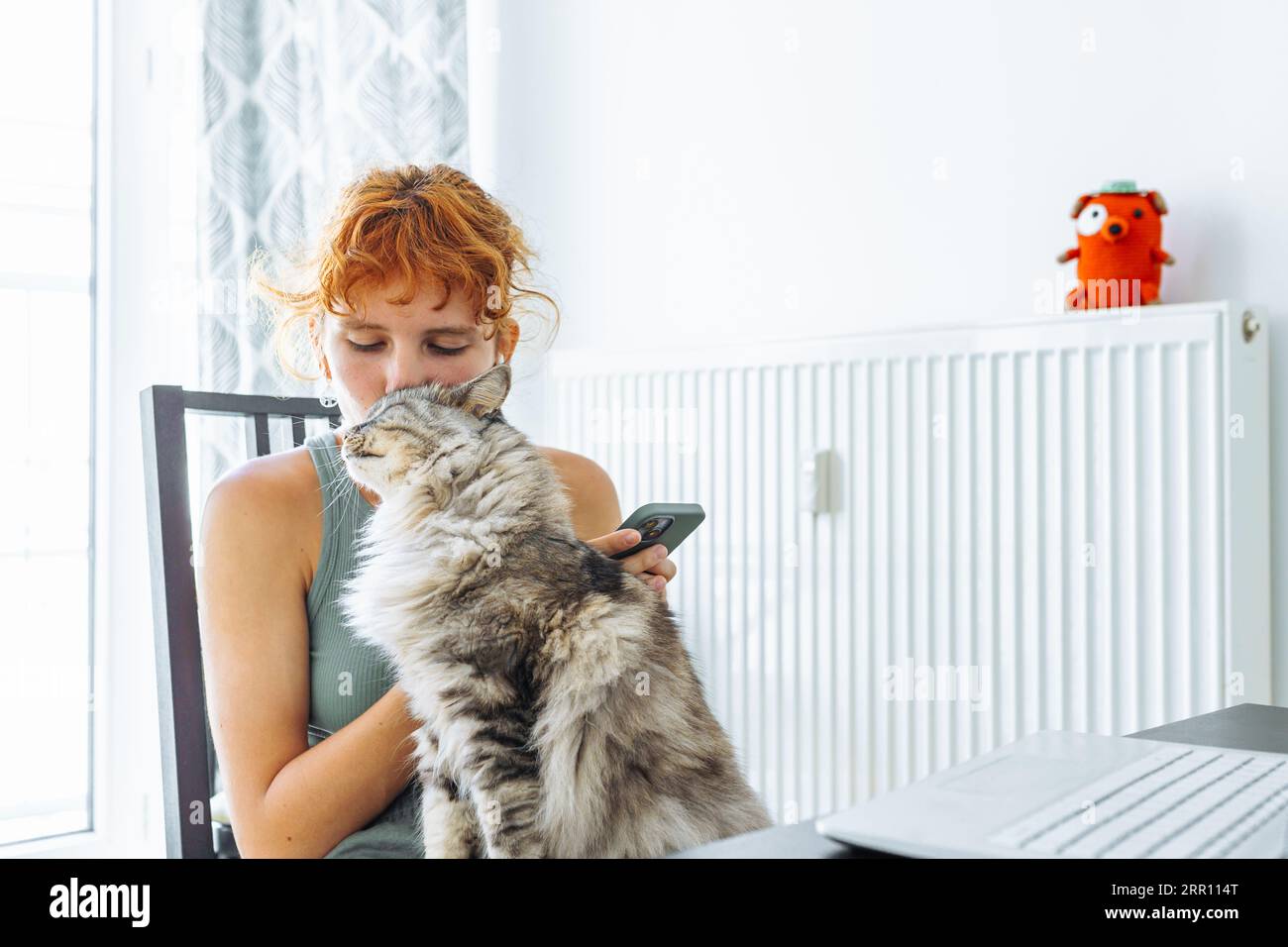 Spending time with your cat stock photo alamy