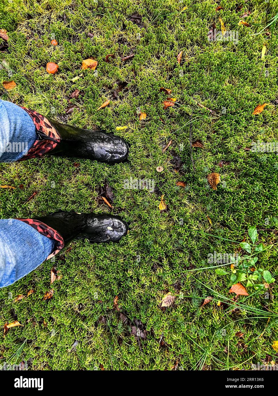 woman legs wearing black wellingtons on green grass background. High quality photo Stock Photo
