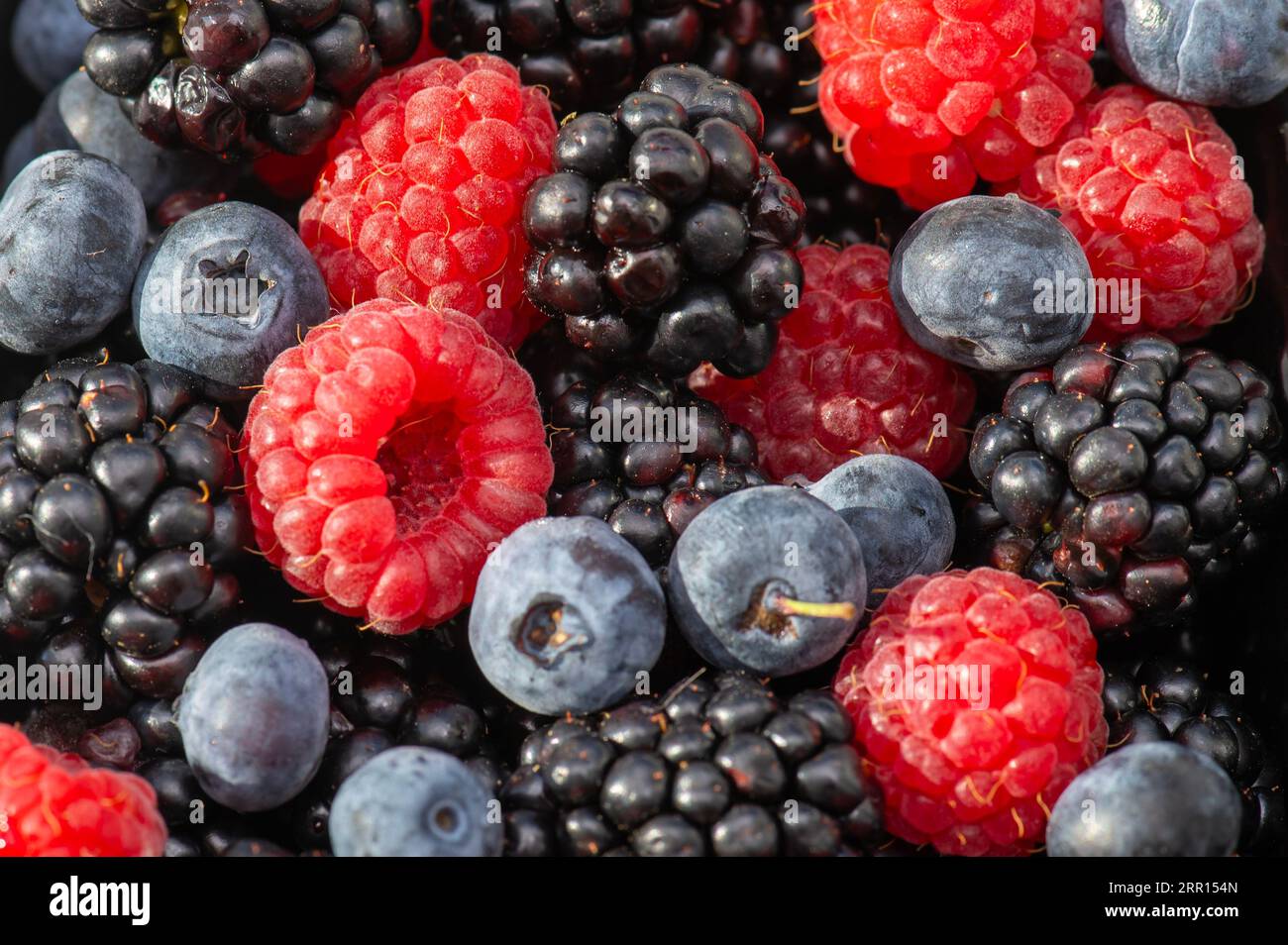 healthy food blackberries raspberries blueberries different berries