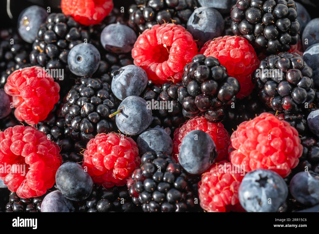 healthy food blackberries raspberries blueberries different berries