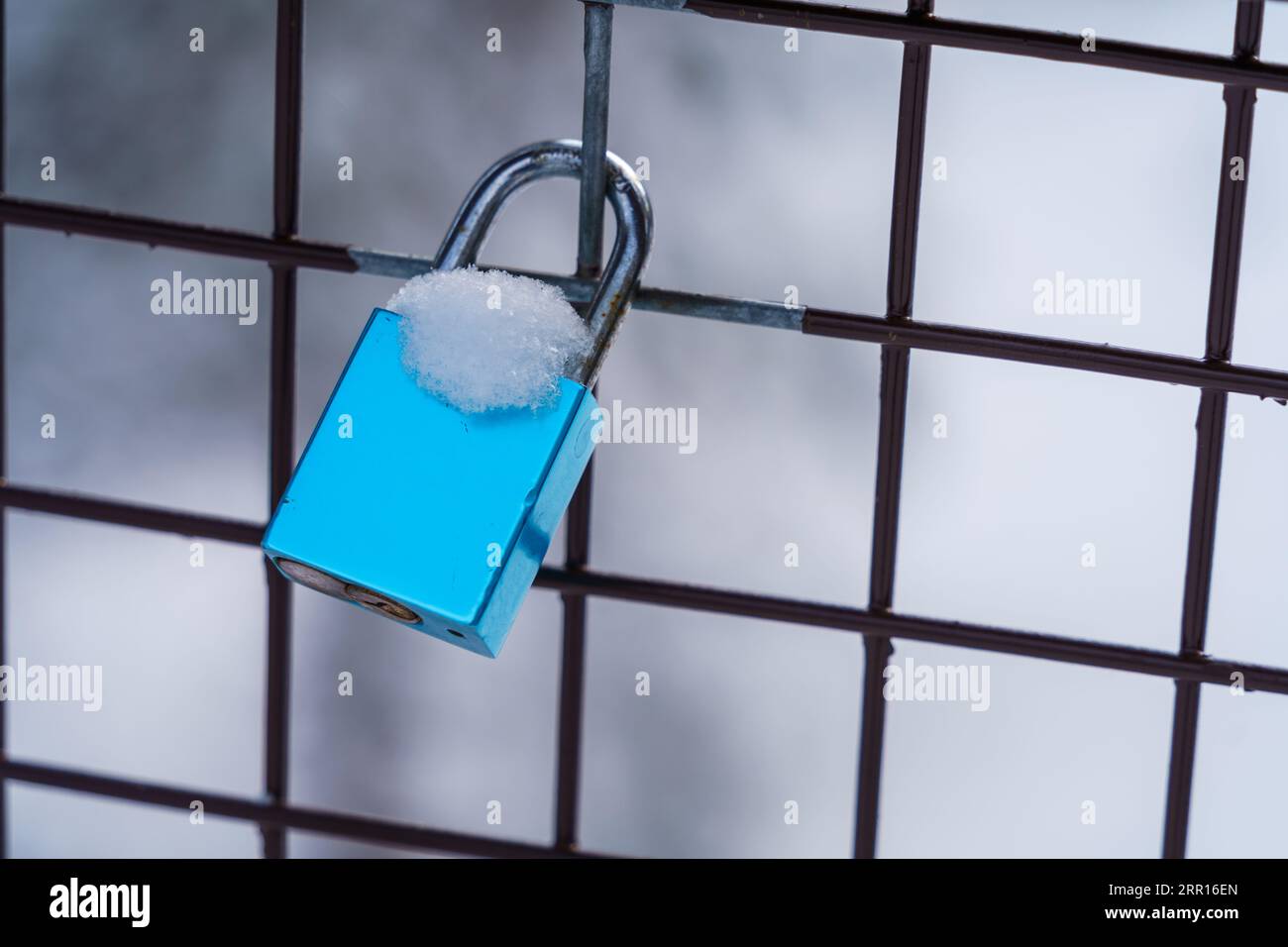 Blue love padlock with snow on a metal fence in winter with out of focus background, mock up. Stock Photo