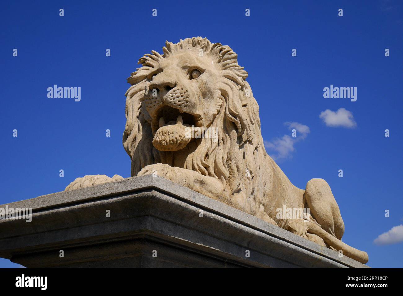 Statue of a lion on the Buda side of the Chain Bridge, crossing the River Danube, Budapest, Hungary Stock Photo