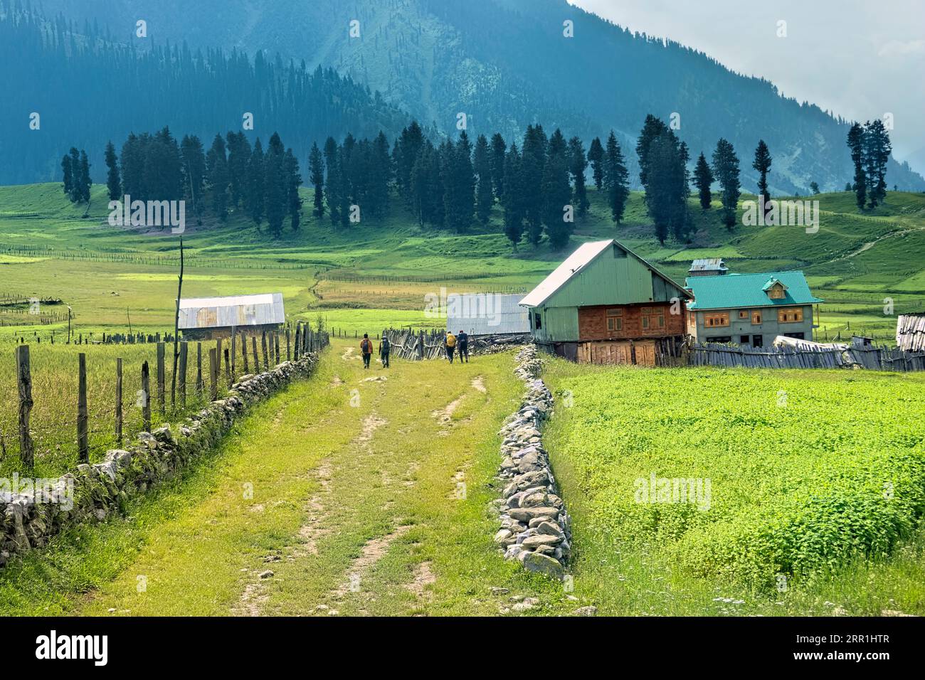 Trekking through the beautiful verdant Warwan Valley, Kashmir, India Stock Photo