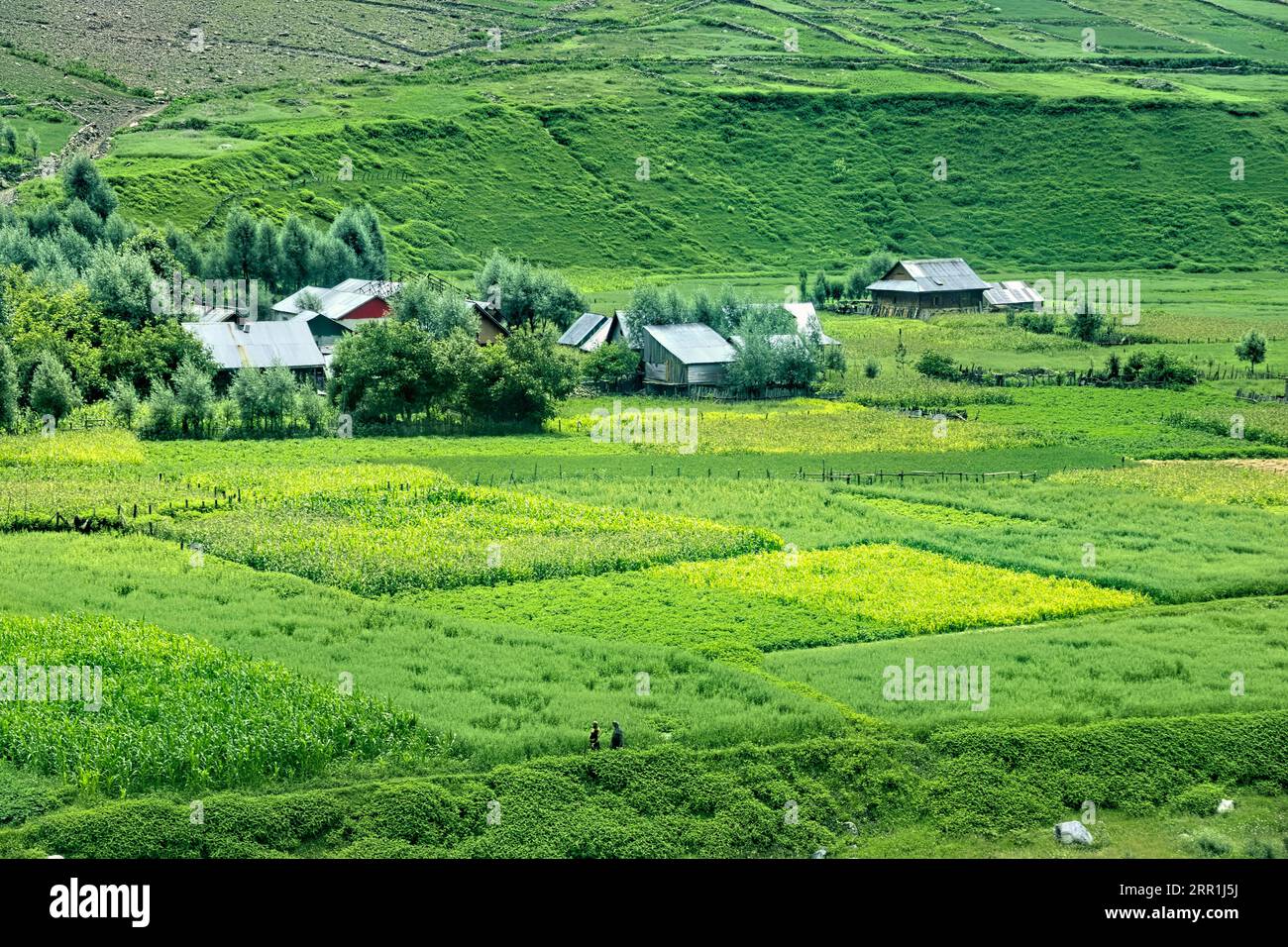 Trekking through the beautiful verdant Warwan Valley, Kashmir, India Stock Photo