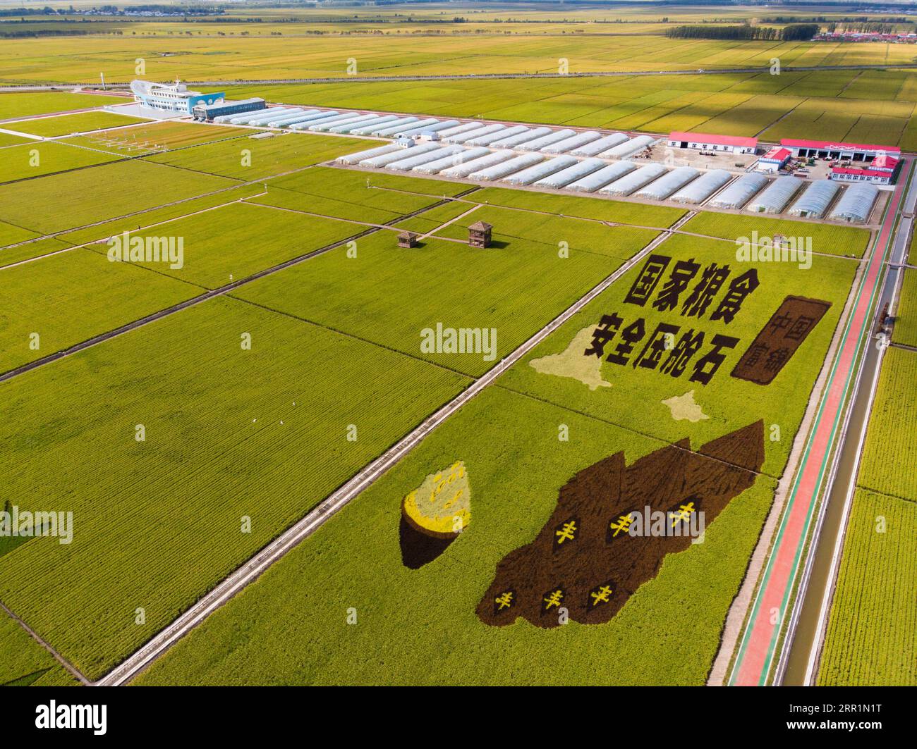 200922 -- FUJIN, Sept. 22, 2020 -- Aerial photo taken on Sept. 21, 2020 shows the paddy rice to be harvested at a paddy rice park in Fujin City, northeast China s Heilongjiang Province. In recent days, about 40,000 Mu about 2,667 hectares paddy fields here have entered harvest season.  CHINA-HEILONGJIANG-FUJIN-PADDY FIELDS-HARVEST CN ZhangxTao PUBLICATIONxNOTxINxCHN Stock Photo