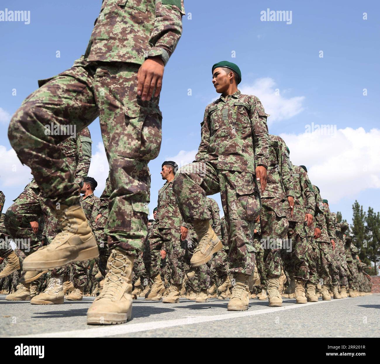 Total army force hi-res stock photography and images - Alamy