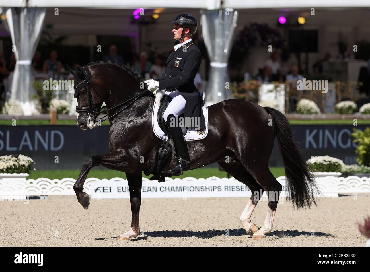 Euro Equestrian Rider Riesenbeck, Germany. 06th Sep, 2023. Equestrian sport: European ...