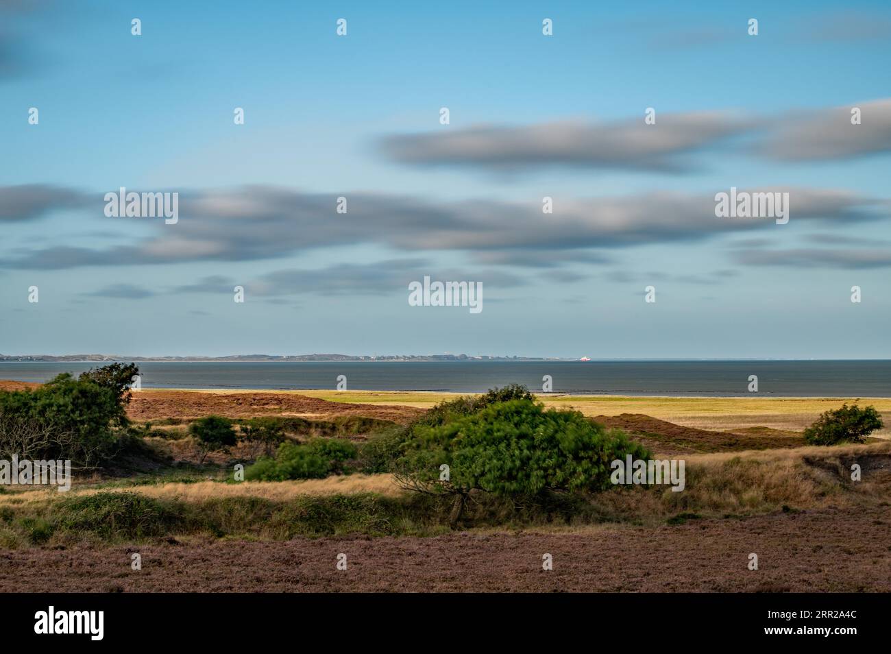 Braderup Heath Nature Reserve Stock Photo