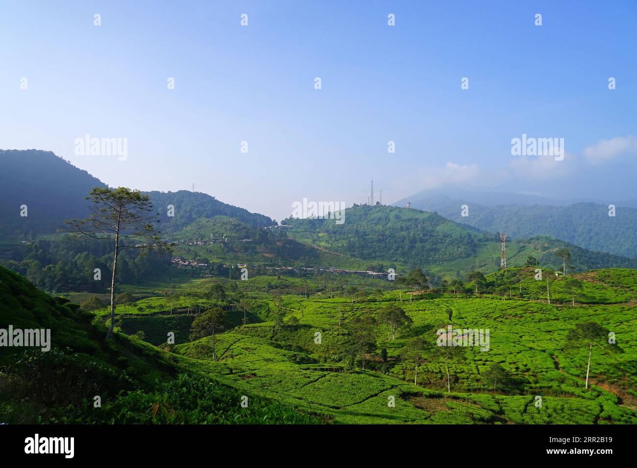 787 Bogor Presidential Palace Stock Photos, High-Res Pictures, and Images -  Getty Images