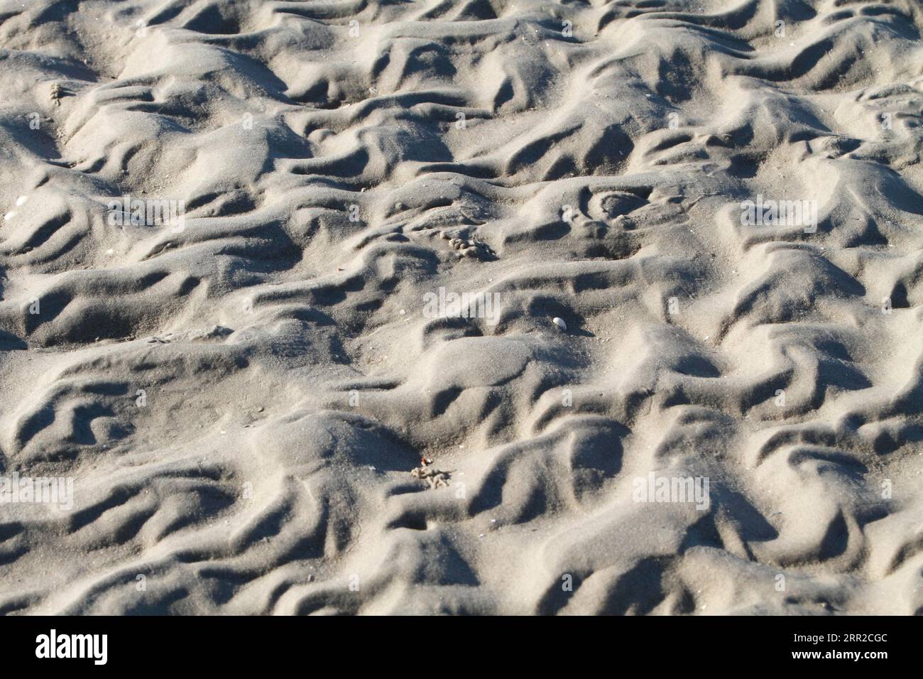 Ripple marks in the mudflats off Minsener Oog Island, Lower Saxony ...
