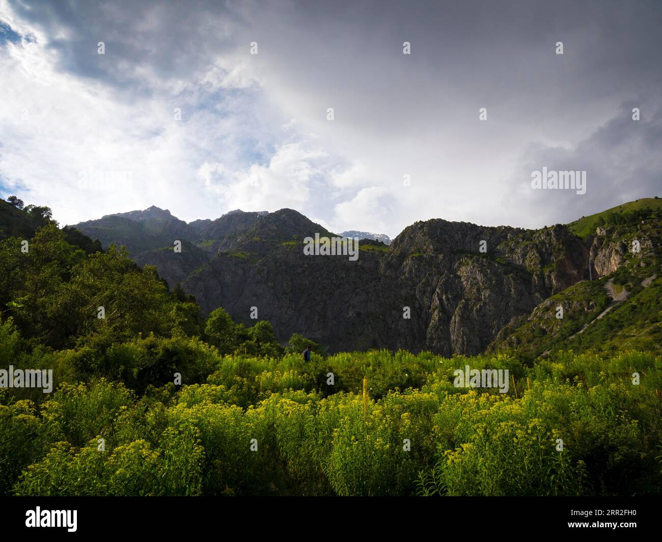 Central asia landscape hi-res stock photography and images - Alamy