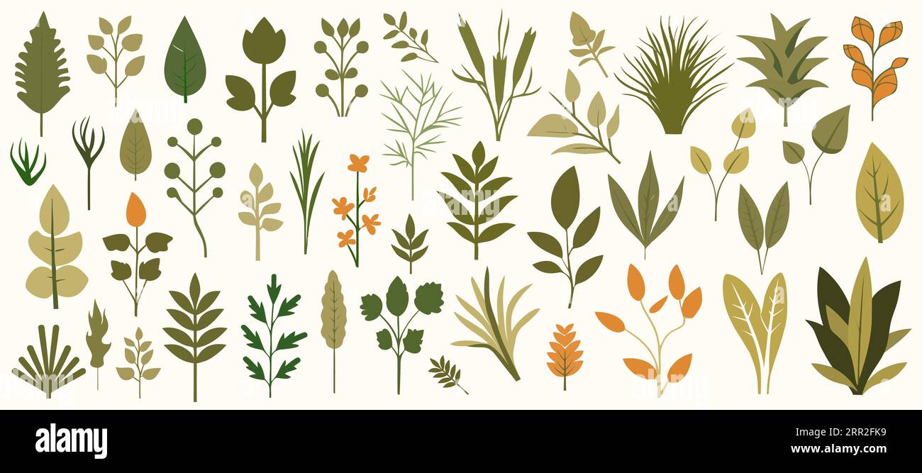 Abstract foliage collection. Botanical futuristic elements in flat ...