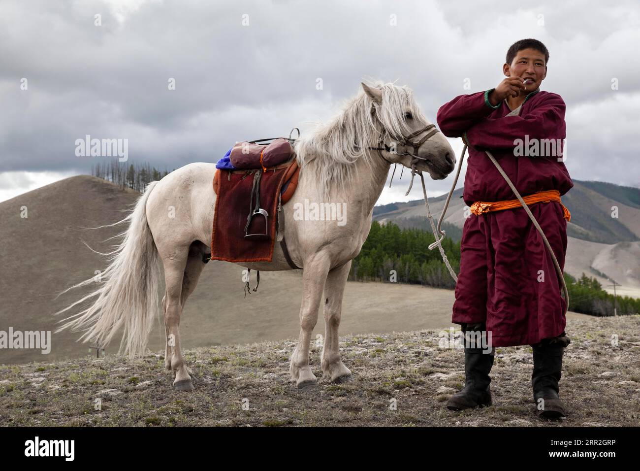 Mongolian stallion boots sales
