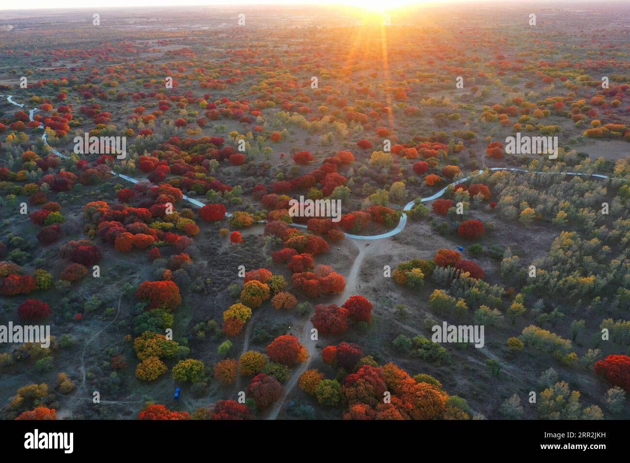 China, Herbstimpressionen aus dem Daqinggou Naturreservat 201013 -- TONGLIAO, Oct. 13, 2020 -- Aerial photo taken on Oct. 12, 2020 shows the autumn scenery of Daqinggou national reserve in Horqin Left Wing Rear Banner of north China s Inner Mongolia Autonomous Region.  CHINA-INNER MONGOLIA-HORQIN-SCENERY CN LiuxYide PUBLICATIONxNOTxINxCHN Stock Photo