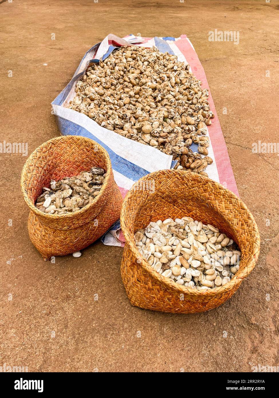 Madagascar, Ambalavao silk factory Stock Photo - Alamy