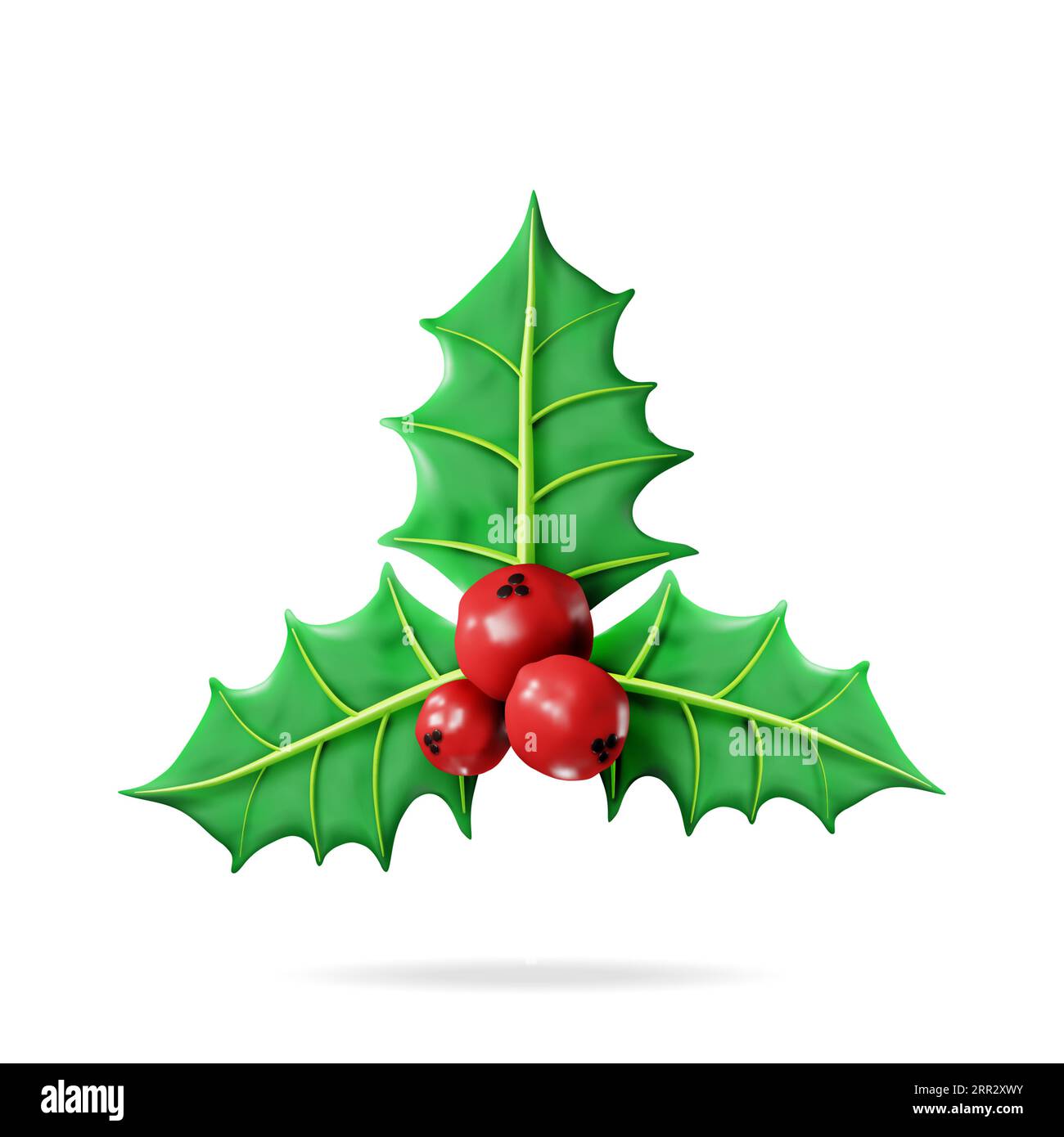 3D Christmas Twig of Holly with Leaves and Berries Stock Vector Image ...