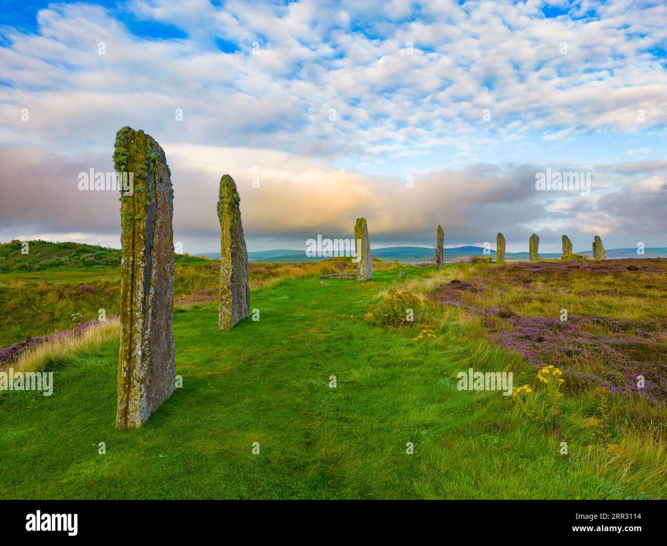Early morning light at Ring of Brodgar neolithic henge and stone circle at West mainland, Orkney Islands, Scotland, UK. Stock Photo