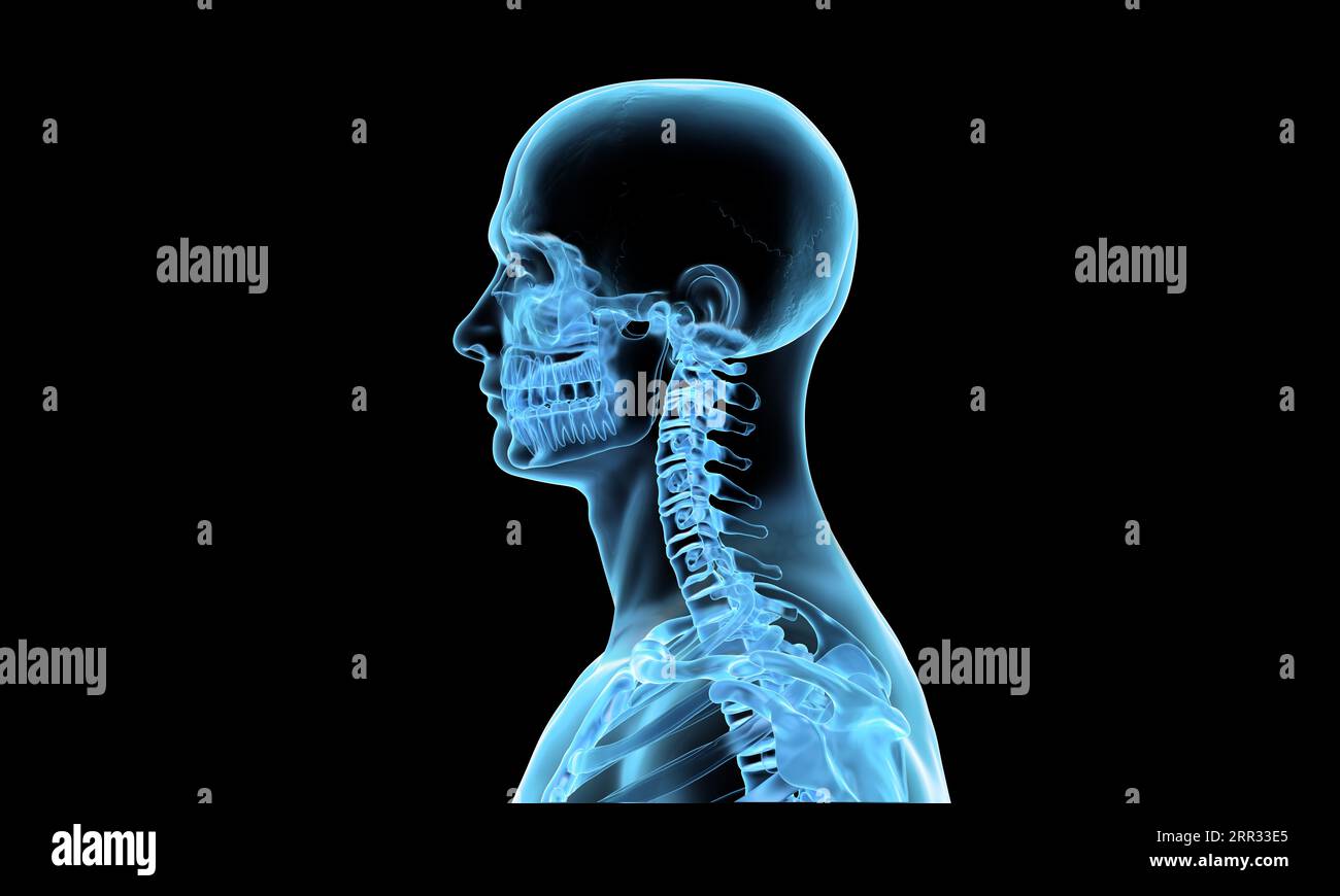 Side view of cervical section of spine x-ray render on black background Stock Photo