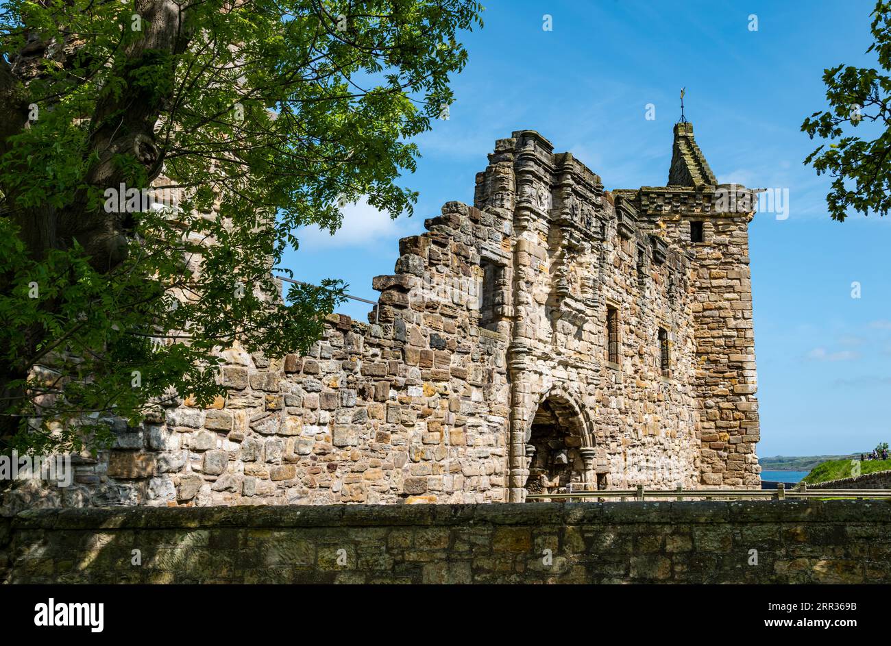 Ruins of St Andrews Castle, Fife, Scotland, UK Stock Photo