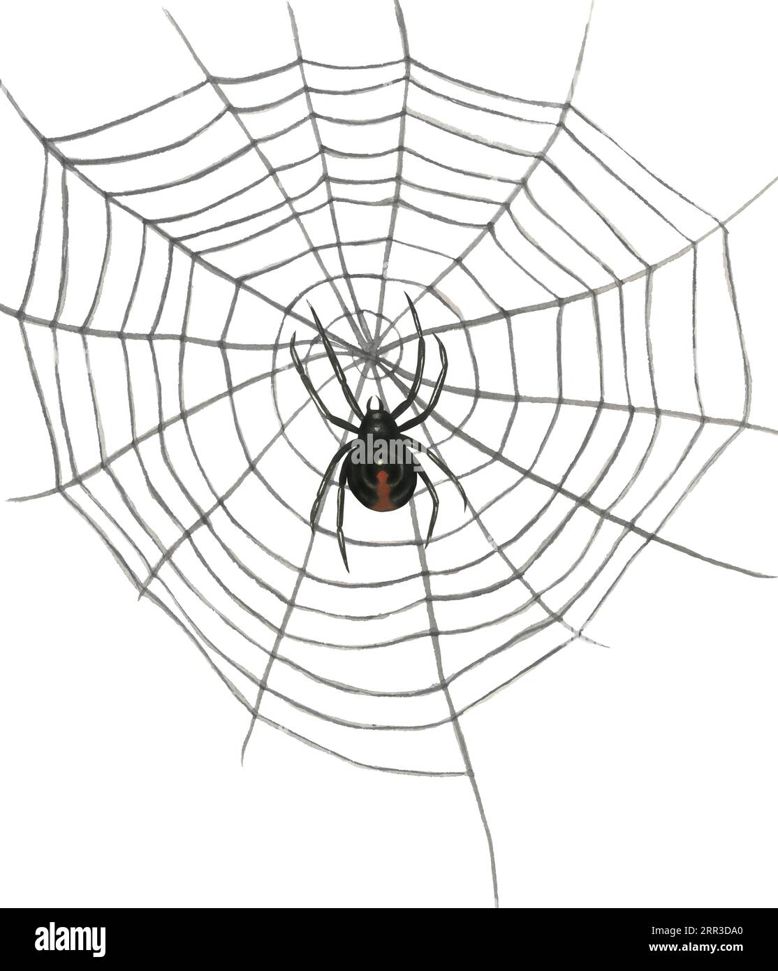 Watercolor illustration of a web with a black widow spider. Isolated on white background hand drawn Stock Photo