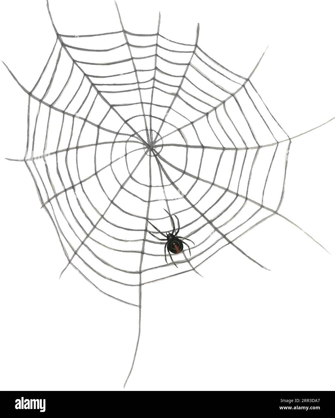Watercolor illustration of a web with a black widow spider. Isolated on white background hand drawn Stock Photo