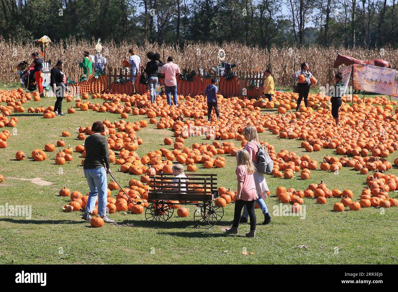 Orleans Halowen Hi res Stock Photography And Images Alamy orleans-halowen-hi-res-stock-photography-and-images-alamy