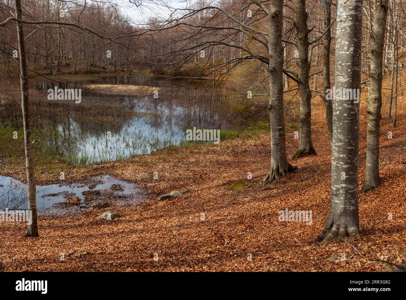 Scenic view of lake by trees against sky, Lago Scuro, Ventasso. Italy Stock Photo
