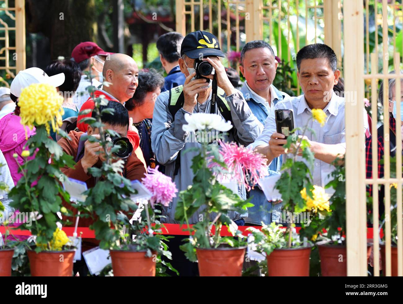 201103 -- FUZHOU, Nov. 3, 2020 -- People take photos of chrysanthemums at an exhibition in Fuzhou, capital of southeast China s Fujian Province, Nov. 3, 2020. More than 1,000 varieties of over 20,000 pots chrysanthemums are displayed in an exhibition at the West Lake Park here on Tuesday.  CHINA-FUJIAN-CHRYSANTHEMUMS-EXHIBITION CN WeixPeiquan PUBLICATIONxNOTxINxCHN Stock Photo