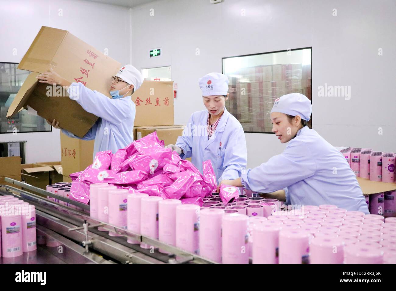 201104 -- HANGZHOU, Nov. 4, 2020 -- Workers pack up products at a company in Tonglu County of Hangzhou, east China s Zhejiang Province, Nov. 4, 2020. Companies started to prepare for the upcoming Singles Day sale, an online shopping festival. Photo by /Xinhua CHINA-SINGLES DAY SALE-PREPARATION CN XuxJunyong PUBLICATIONxNOTxINxCHN Stock Photo