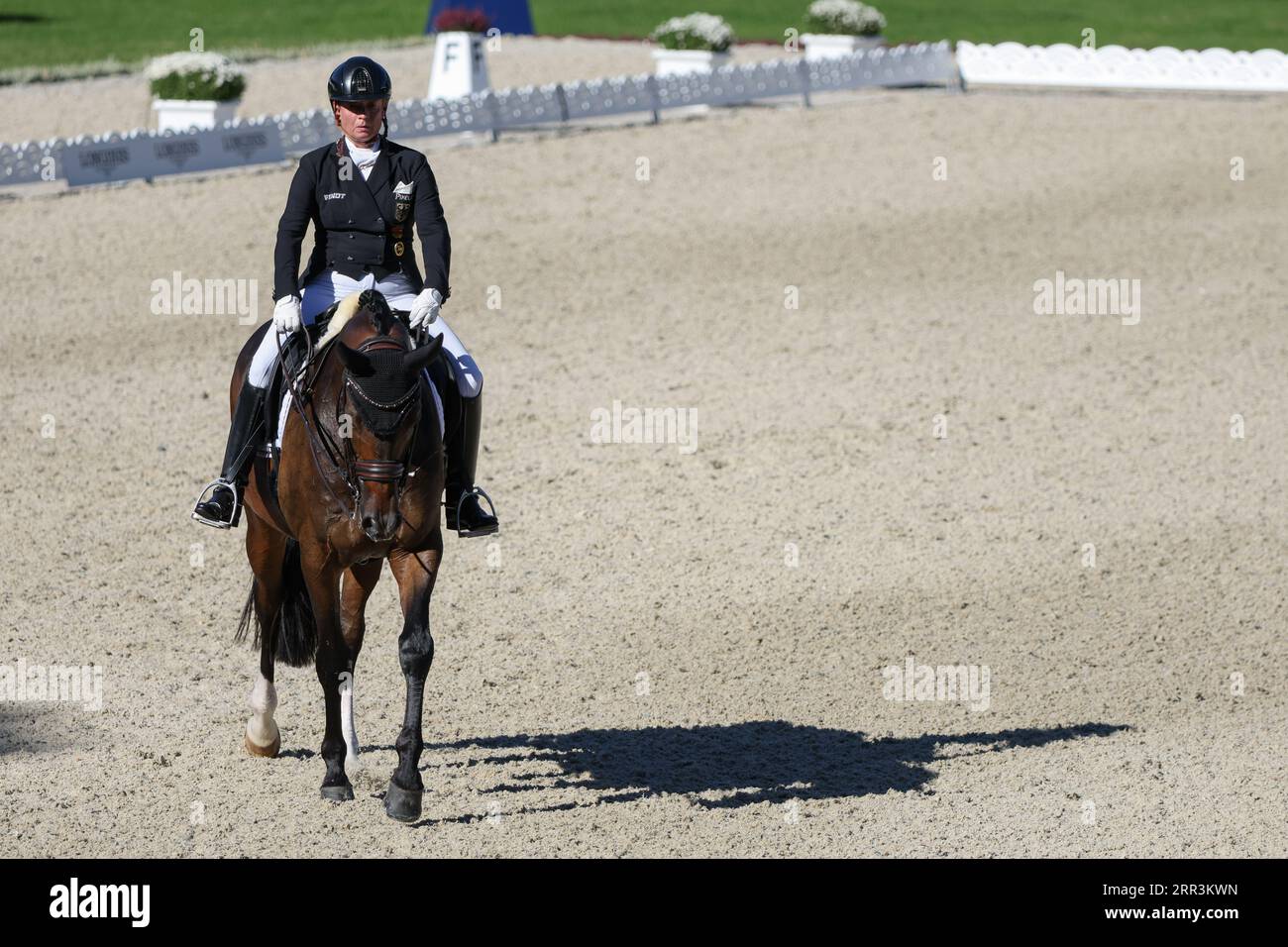 Euro Equestrian Rider Riesenbeck, Germany. 06th Sep, 2023. Equestrian sport: European ...