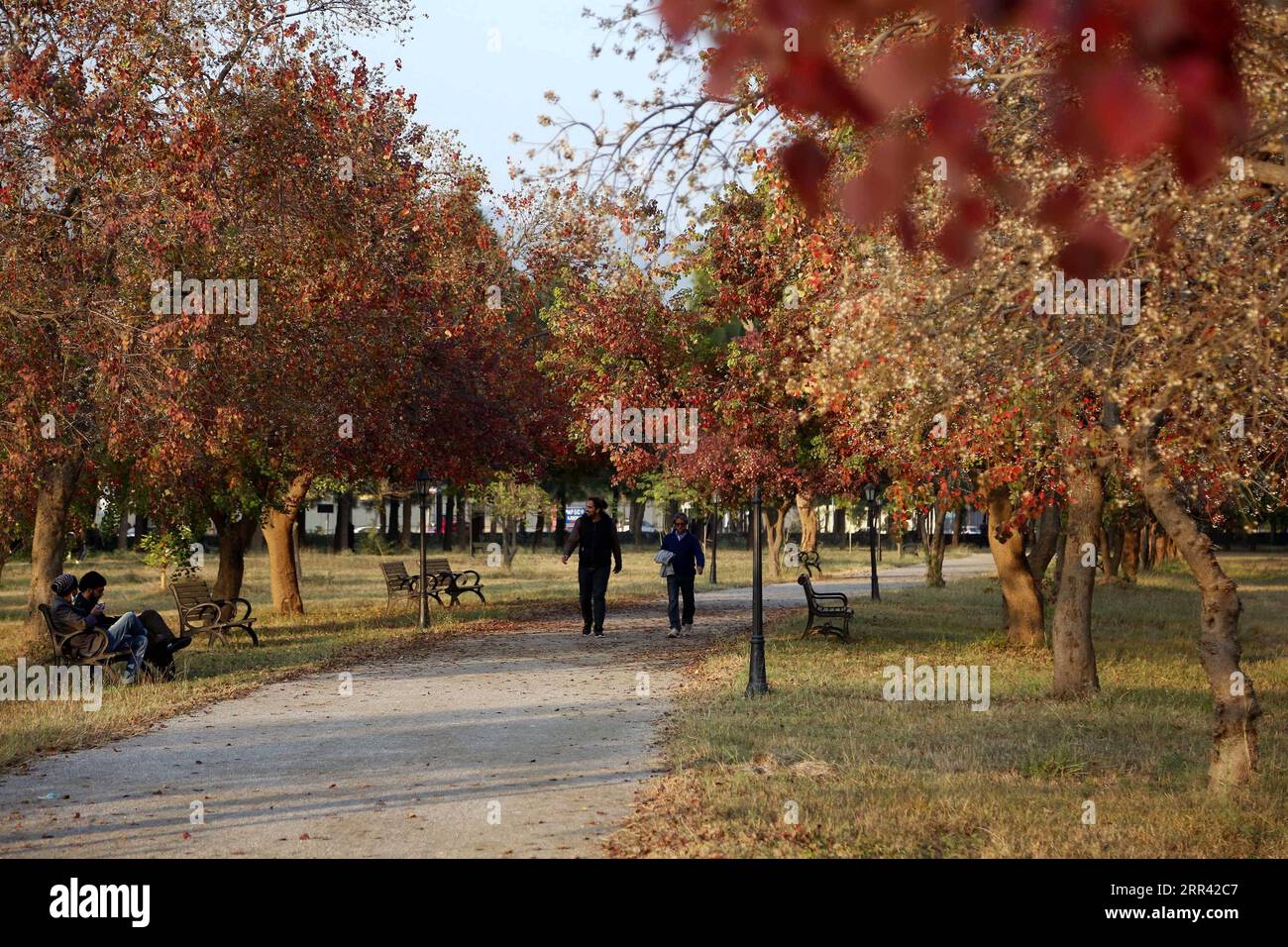 201118 -- ISLAMABAD, Nov. 18, 2020 -- Photo taken on Nov. 17, 2020 shows the autumn scenery of Fatima Jinnah Park in Islamabad, capital of Pakistan.  PAKISTAN-ISLAMABAD-AUTUMN-SCENERY AhmadxKamal PUBLICATIONxNOTxINxCHN Stock Photo
