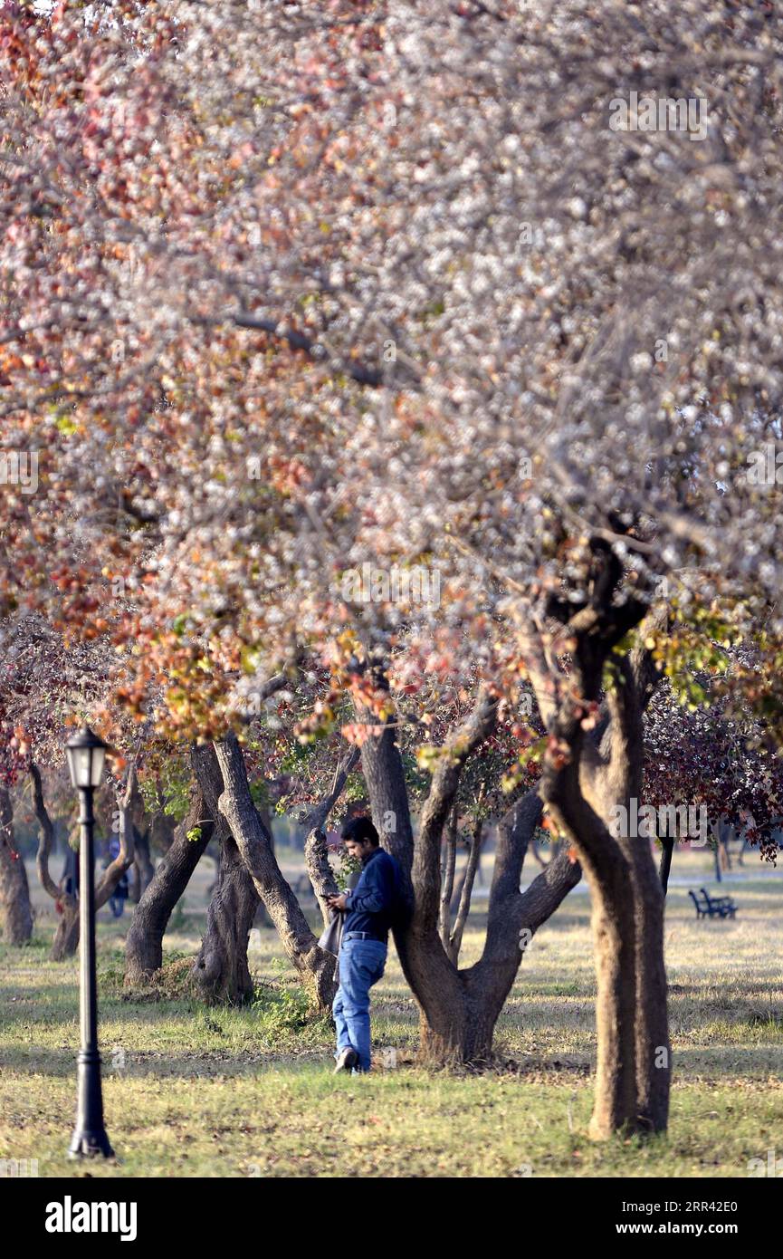 201118 -- ISLAMABAD, Nov. 18, 2020 -- A man enjoys his leisure time at Fatima Jinnah Park in Islamabad, capital of Pakistan, Nov. 17, 2020.  PAKISTAN-ISLAMABAD-AUTUMN-SCENERY AhmadxKamal PUBLICATIONxNOTxINxCHN Stock Photo