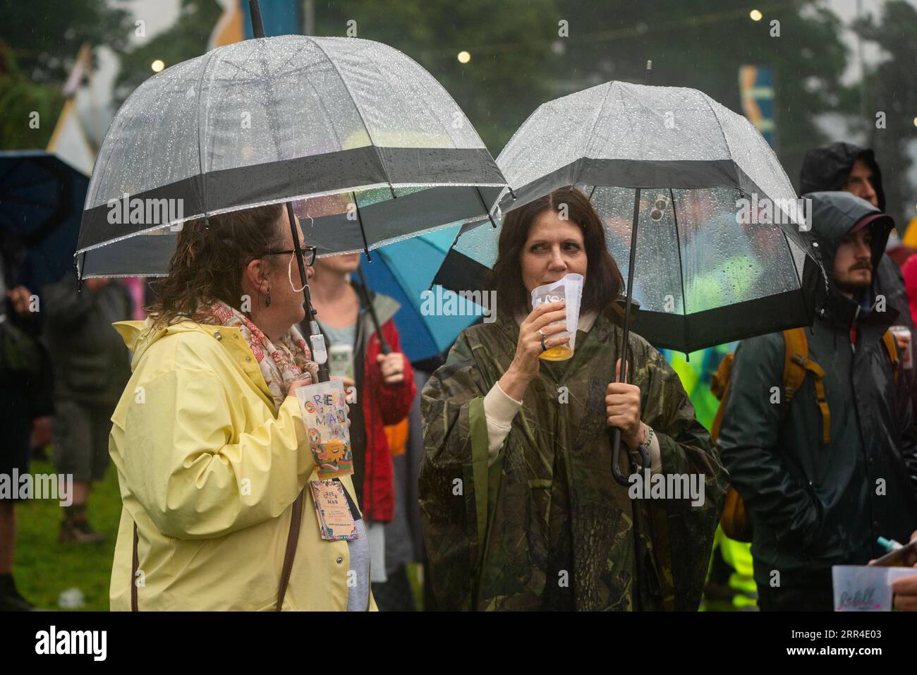 Two middle age women drinking beers under umbrellas in the rainstorm rain and mud. Green Man Festival, Brecon, Wales, UK, 2023. Photo: Rob  Watkins Stock Photo