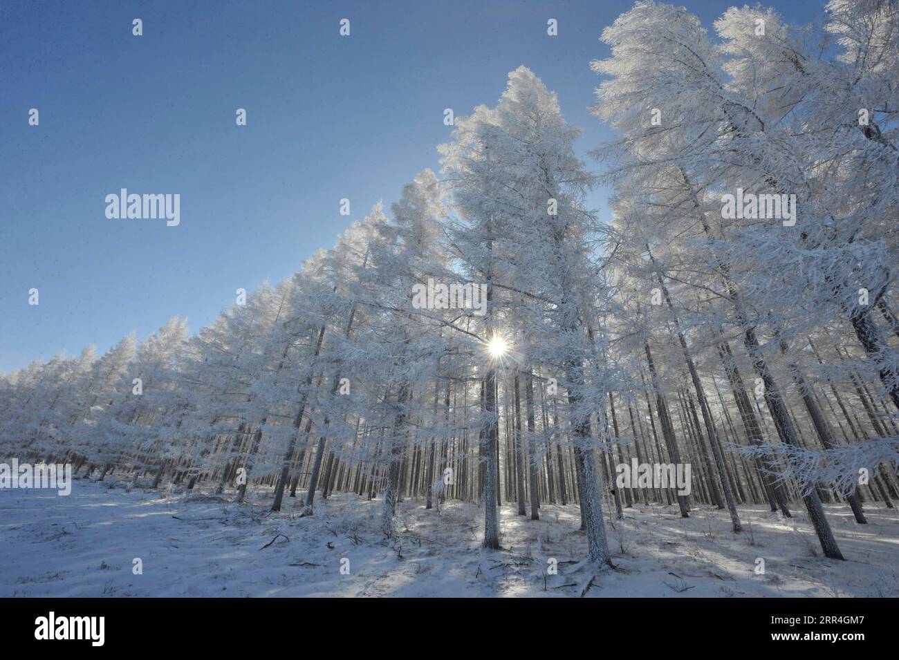 201204 -- CHENGDE, Dec. 4, 2020 -- Photo taken on Dec. 4, 2020 shows the winter scenery of Yudaokou pasture in Chengde City, north China s Hebei Province. Photo by /Xinhua CHINA-HEBEI-CHENGDE-WINTER SCENERYCN WangxLiqun PUBLICATIONxNOTxINxCHN Stock Photo