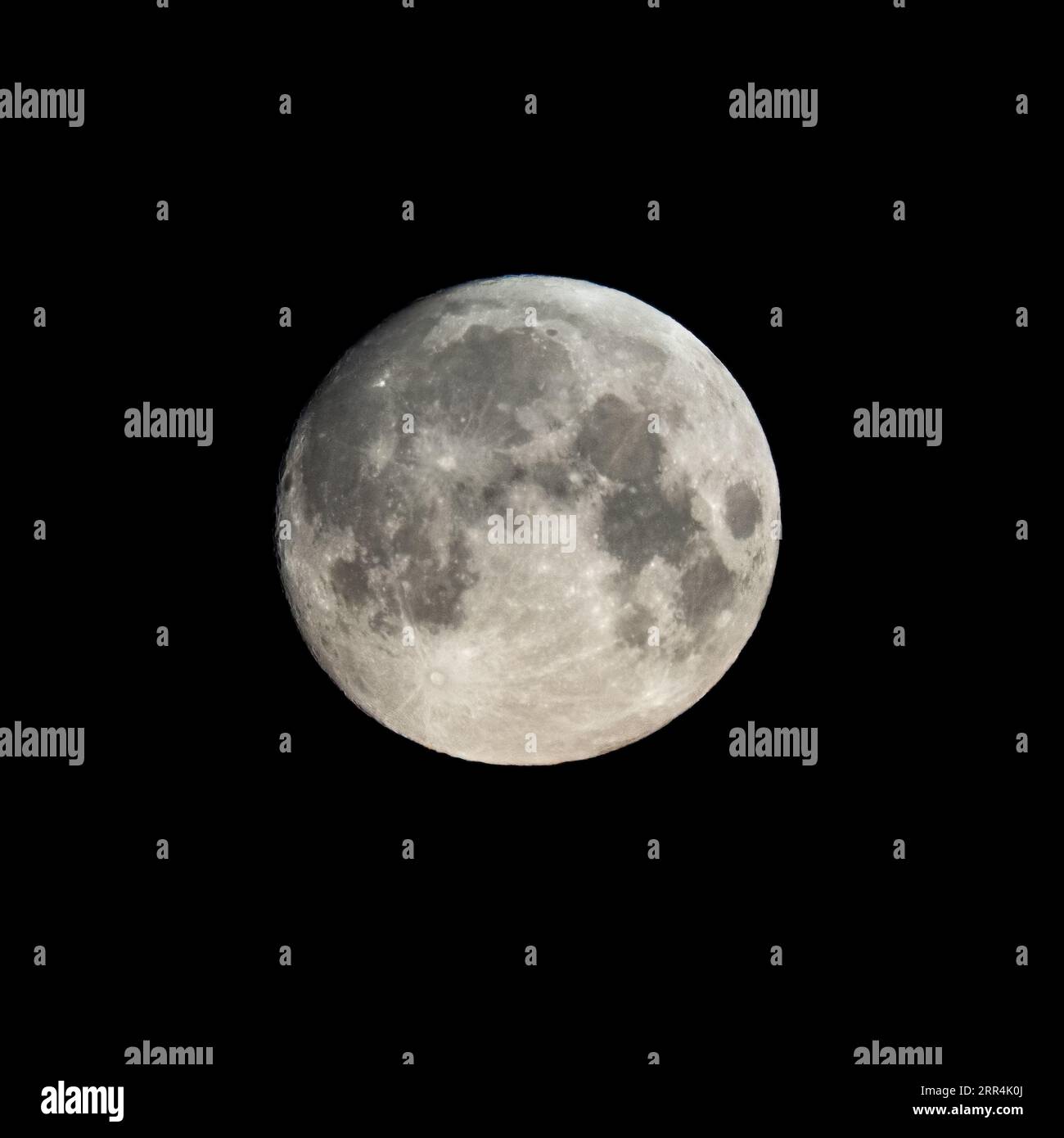 Detailed image of the full moon. Full moon against the black night sky ...