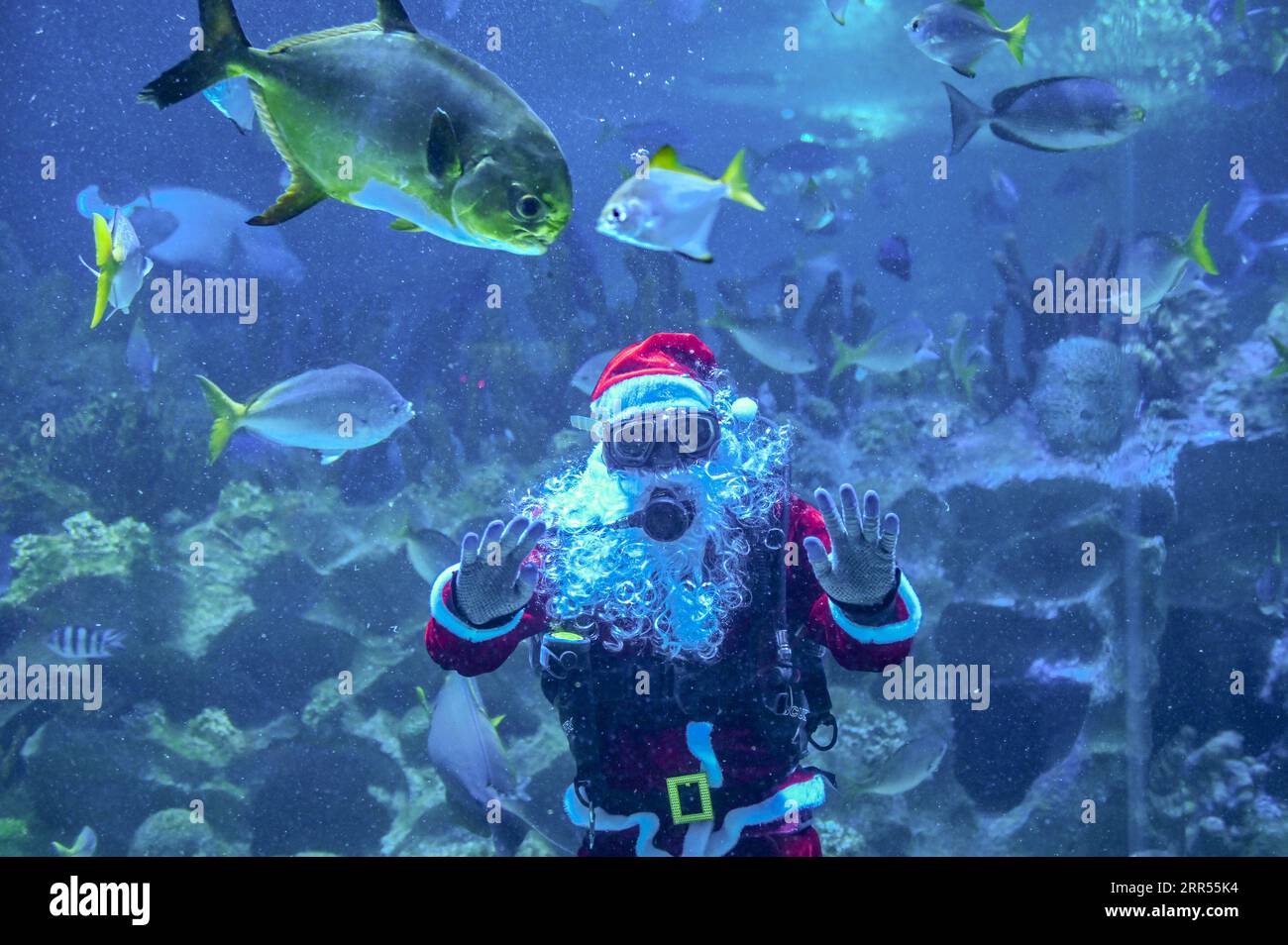 201223 -- KUALA LUMPUR, Dec. 23, 2020 -- A scuba diver dressed as Santa Claus waves to visitors during a performance at Aquaria KLCC aquarium in Kuala Lumpur, Malaysia, Dec. 23, 2020. Photo by /Xinhua MALAYSIA-KUALA LUMPUR-AQUARIUM-SANTA CLAUS ChongxVoonxChung PUBLICATIONxNOTxINxCHN Stock Photo
