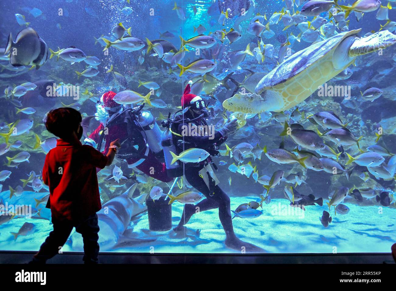 201223 -- KUALA LUMPUR, Dec. 23, 2020 -- A child watches a performance by scuba diver dressed as Santa Claus at Aquaria KLCC aquarium in Kuala Lumpur, Malaysia, Dec. 23, 2020. Photo by /Xinhua MALAYSIA-KUALA LUMPUR-AQUARIUM-SANTA CLAUS ChongxVoonxChung PUBLICATIONxNOTxINxCHN Stock Photo