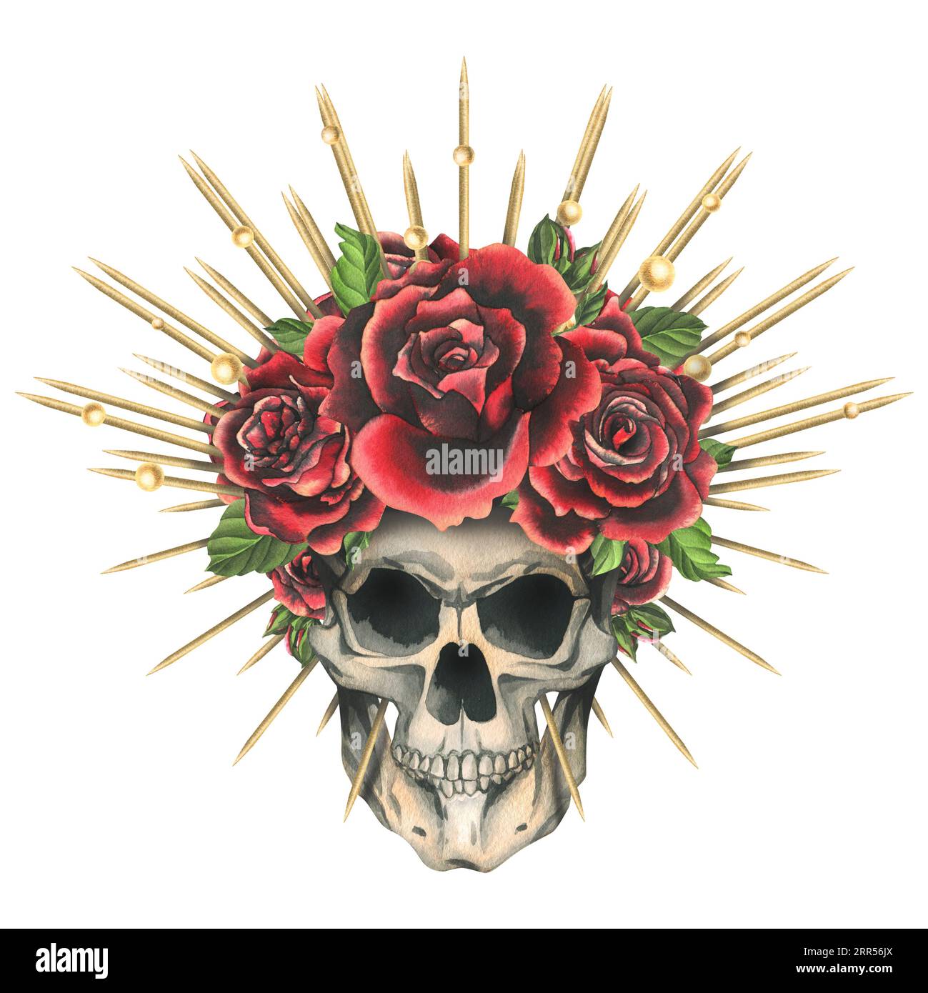Human skull with red flowers rose in a golden crown with thorns, rays. Hand drawn watercolor illustration for day of the dead, halloween, Dia de los Stock Photo
