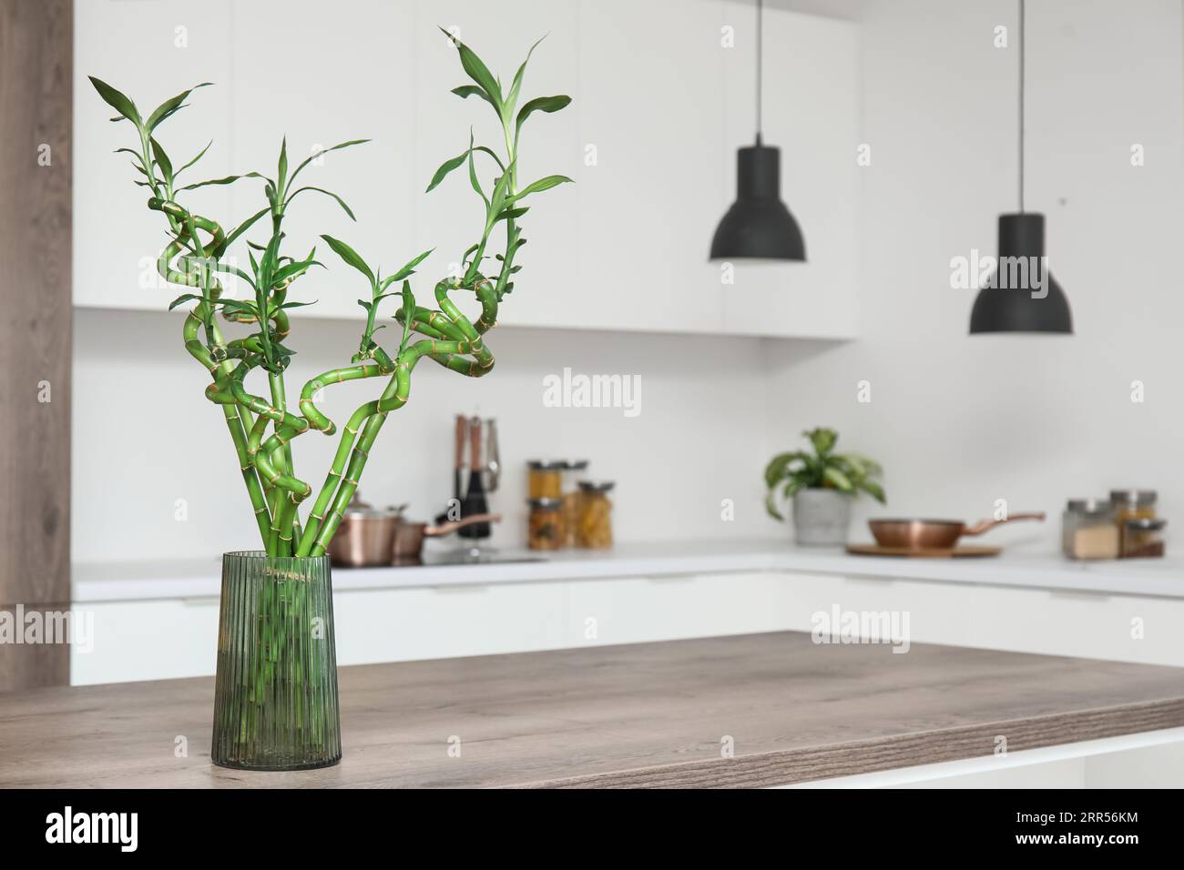 Lucky bamboo in a kitchen hi-res stock photography and images - Alamy